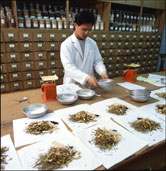 Image: Traditional Chinese herbal medicines are prepared in local clinics as well as hospital pharmacies, like this one in Taiwan